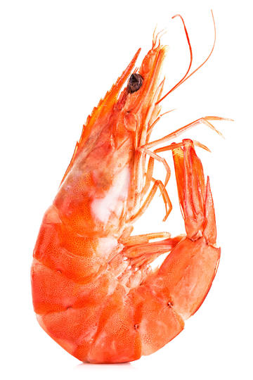 利物浦3:1谢菲尔德联